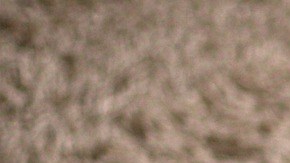 Las aspiradoras automatizadas tienen grandes ventajas en su pequeño tamaño.