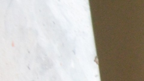 Los perros pueden llegar a ser muy sensibles con sus alimentos, por ellos si los llevas a un restaurante debes verificar que comerán.