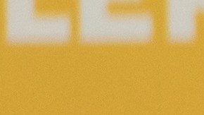 Billie Eilish adoptó un perro porque nadie más lo quiso.