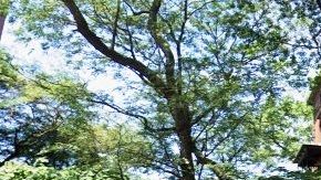 Brooklyn Heights, NYC