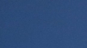 Chris Evans vive una perruna cuarentena.