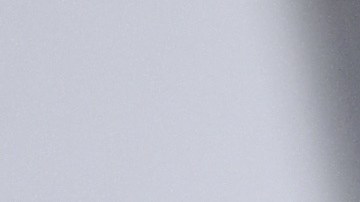 Cara Delevingne cuida de dos cachorros en esta cuarentena.