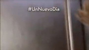 Chef James- Receta Cupcakes