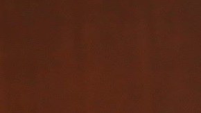 Irma Eréndira Sandoval dio positivo por contagio de COVID-19  el 20 de abril.