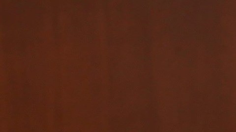 Irma Eréndira Sandoval dio positivo por contagio de COVID-19  el 20 de abril.