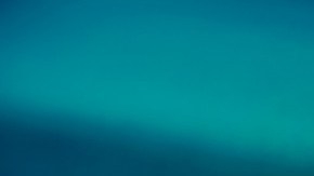 Hubo cruceros en el mundo que propagaron el virus, ahora en Singapur pueden alojar a recuperados.