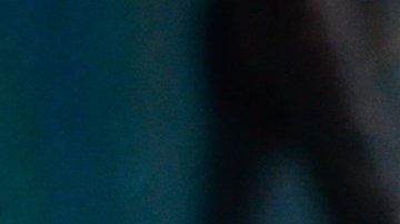 Las cucarachas nunca van a ser bienvenidas dentro del hogar y mucho menos en la cocina.