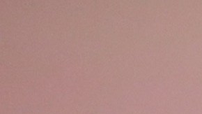 Demi Lovato curó las heridas por la muerte de su perro, sumando uno nuevo a su familia.