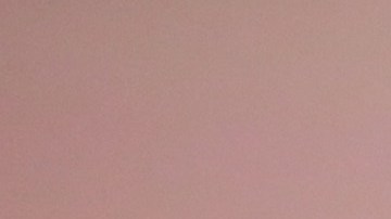 Demi Lovato curó las heridas por la muerte de su perro, sumando uno nuevo a su familia.