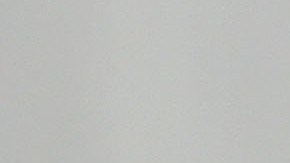 Demi Moore, su familia y sus mascotas se unen en la cuarentena.