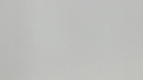 Demi Moore, su familia y sus mascotas se unen en la cuarentena.