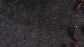 Foto: Shantanu Pal/Pexels