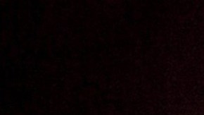 Nuestras mascotas lucirán más en las fotos si usamos la luz adecuada.