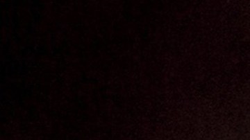 Nuestras mascotas lucirán más en las fotos si usamos la luz adecuada.