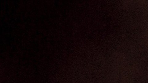 Nuestras mascotas lucirán más en las fotos si usamos la luz adecuada.