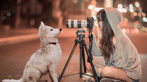 Nuestras mascotas lucirán más en las fotos si usamos la luz adecuada.