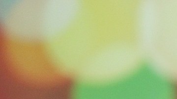 El diseño de una maceta puede maximizar la belleza natural de tu flor.