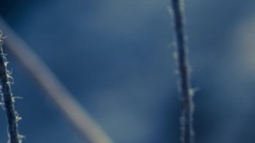 Cambiar tus focos incandescentes por unos ahorradores es una excelente opción para el medio ambiente.