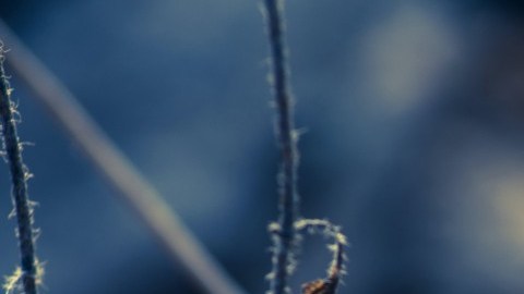 Cambiar tus focos incandescentes por unos ahorradores es una excelente opción para el medio ambiente.