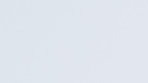 Un gato puede portarse mal porque extraña a su amo.