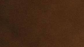 Tipo de cambio dólar peso México coronavirus COVID-19