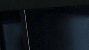 Lena The Plug junto a otras actrices porno.