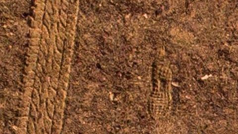 El fondista cambió el Maratón des Sables por su departamento en Vladivostok. 