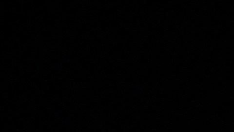 Alexa Dellanos y Alec Monopoly pasan la cuarentena en las playas de Puerto Rico.