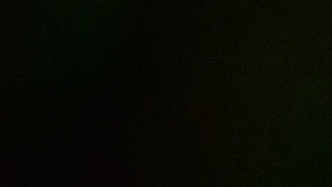 Rodrigo Holgado conducía el auto al momento del impacto.