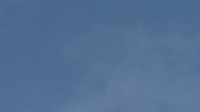 Walmart coronavirus COVID-19 muertes Aurora Colorado mascarillas salud