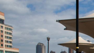 Coronavirus Nueva Jersey