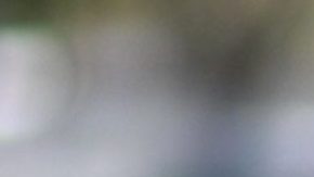 Indocumentados coronavirus