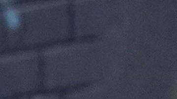 La enfermedad X sería una grave epidemia internacional causada por un patógeno desconocido.