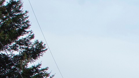 El tirador llevaba un coche parecido al de la Policía Montada de Canadá.