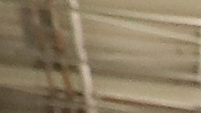 Costco coronavirus policías médicos salud Walmart primeros auxilios COVID-19 trabajadores