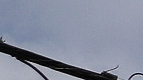 El comercio abriría en la segunda fase aunque sin atender al público.