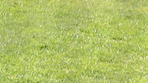 El circuito de la KBO tiene considerado iniciar temporada a principios de mayo.