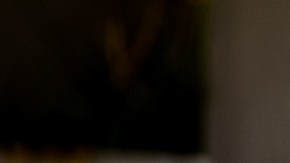 Muchos restaurantes en Los Ángeles han hecho la transición a la venta de productos para cocinar en casa.