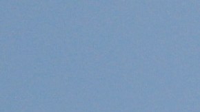 La multitud en la playa de Jacksonville no respeta el distanciamiento social.