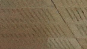 Los hechos ocurrieron en la concurrida línea roja del metro de la ciudad.