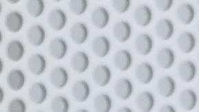 Un perro con un cuidador en Miami.