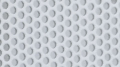 Un perro con un cuidador en Miami.