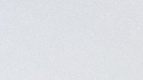 Carne Donald Trump Cargill Tyson cadena de suministro coronavirus covid-19 trabajadores pollo