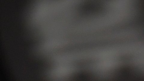 El último juego fue en su condominio de Aventura, al norte de Miami, el 11 de marzo.