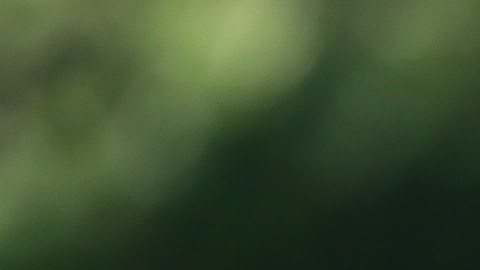 Sergiy Stakhovsky