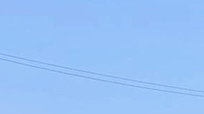 Abogan para que el gobierno ayude a los indocumentados. (Suministrada)