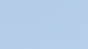 Morales asisitió al Mundial de 2006 con La Volpe.