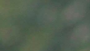 El jugador no ha tenido la actividad esperada.