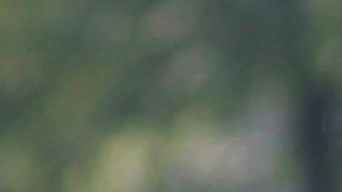 El jugador no ha tenido la actividad esperada.