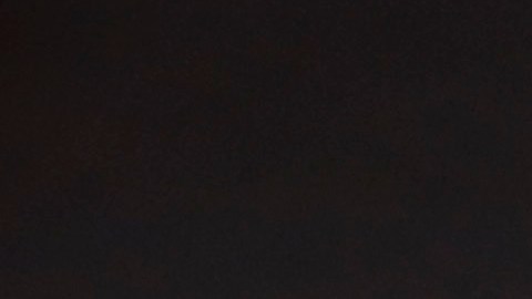 Hernández fue mundialista con México.